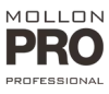 Logo firmy MOLLON - Profesjonalne kosmetyki do paznokci